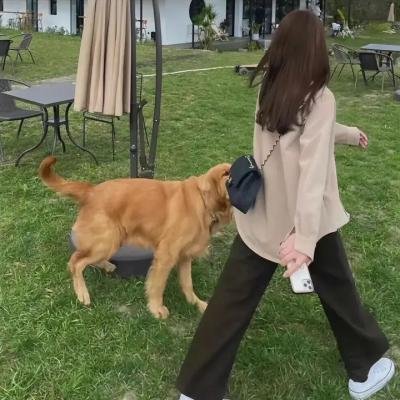 巫毒少女